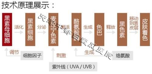 你想要的白癜风治疗优惠都在这里